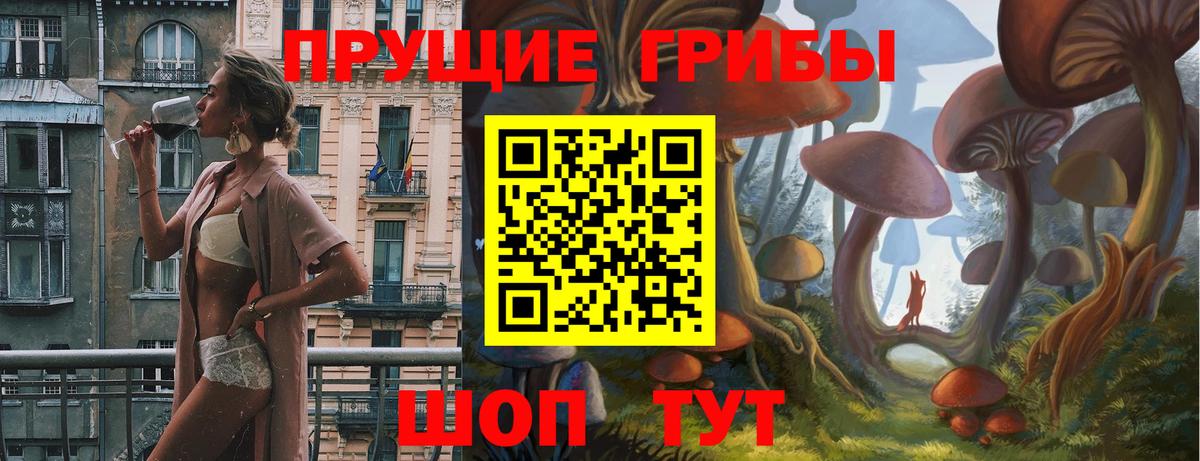 Псилоцибиновые грибы прущие грибы Новокуйбышевск