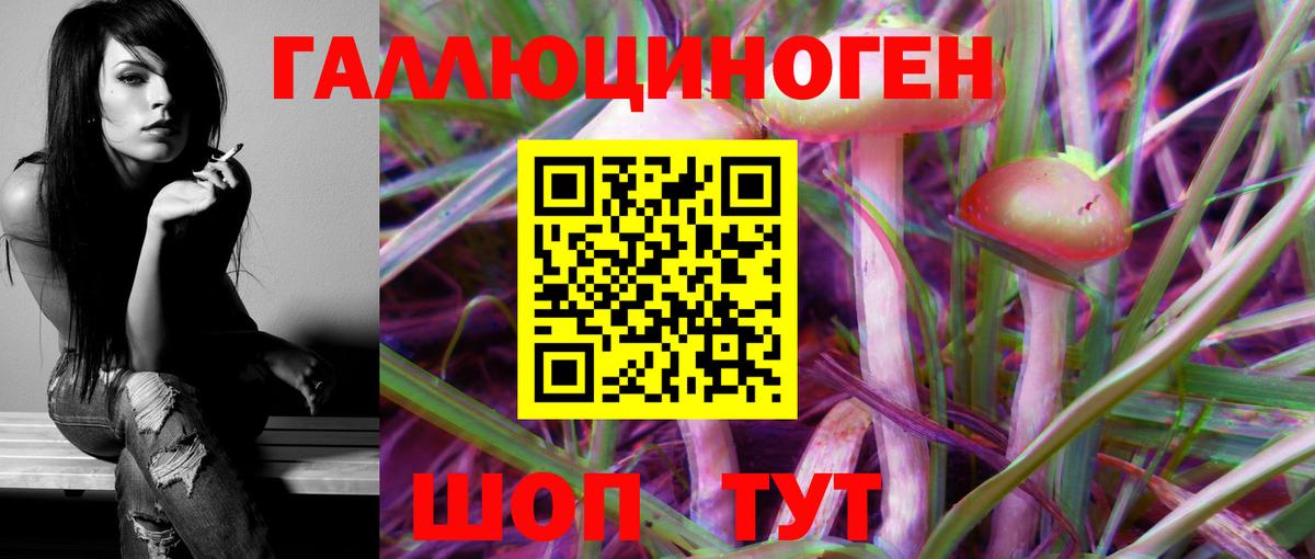 Новокуйбышевск  Галлюциногенные грибы Magic Shrooms  Вход с VPN  Псилоцибиновые грибы прущие грибы 